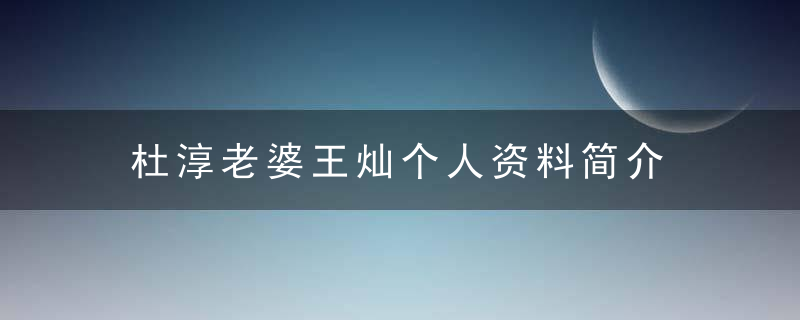 杜淳老婆王灿个人资料简介 有关杜淳老婆王灿个人资料简介